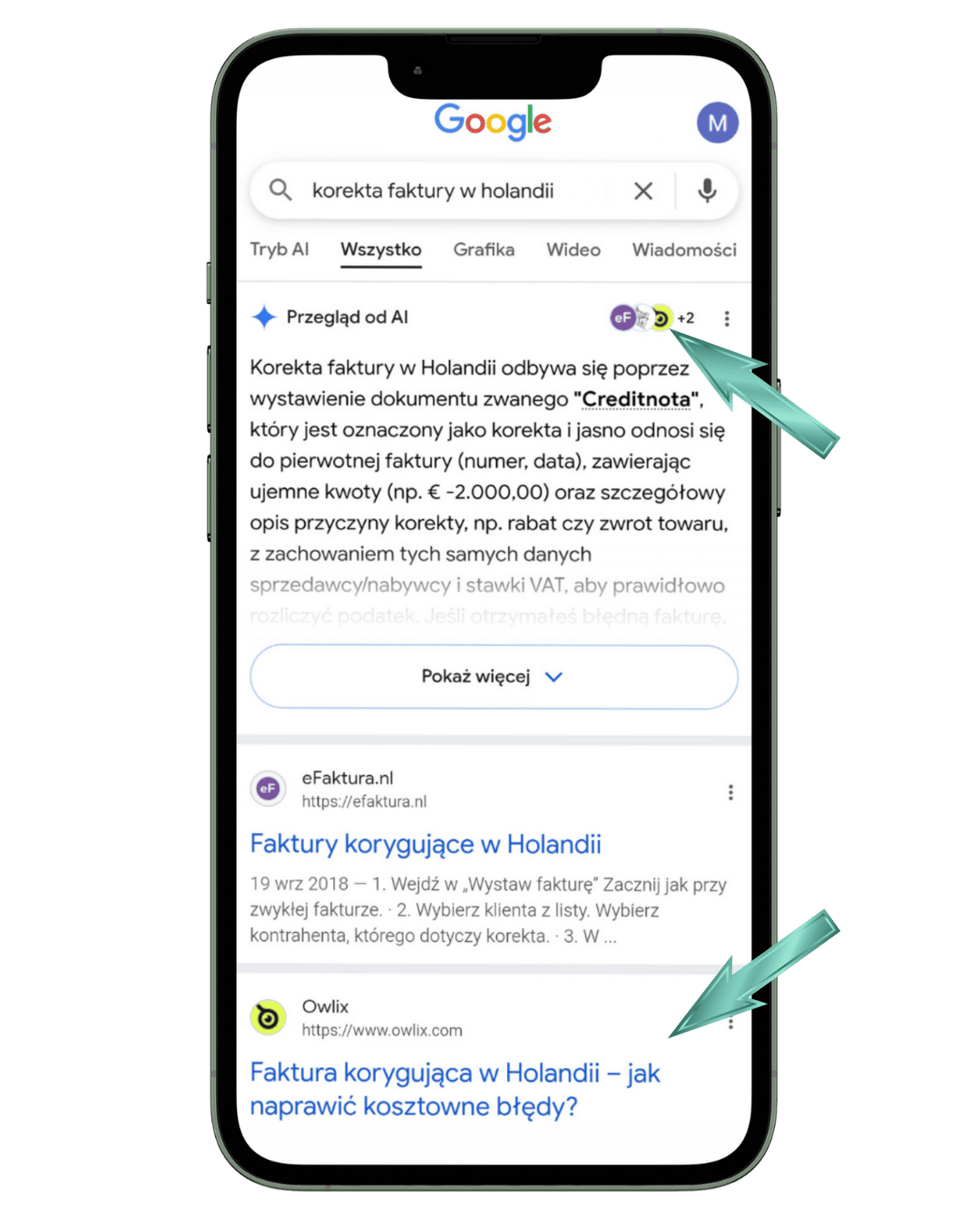 Aplikacja do księgowości Owlix i jej artykuł na blogu zoptymalizowany pod SEO i w wynikach wyszukiwania Google w TOP3.
